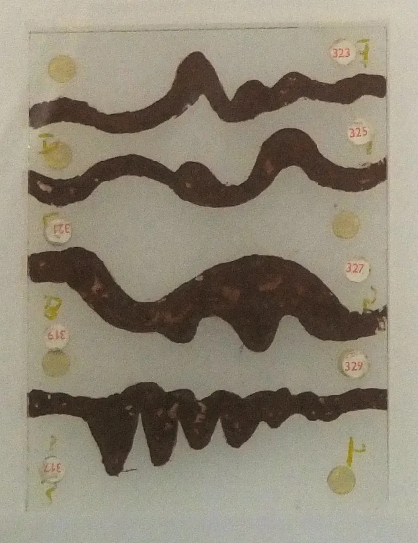 Brown hand-painted waveform curves fill a transparent rectangular slide used with the Oramics sound generator.