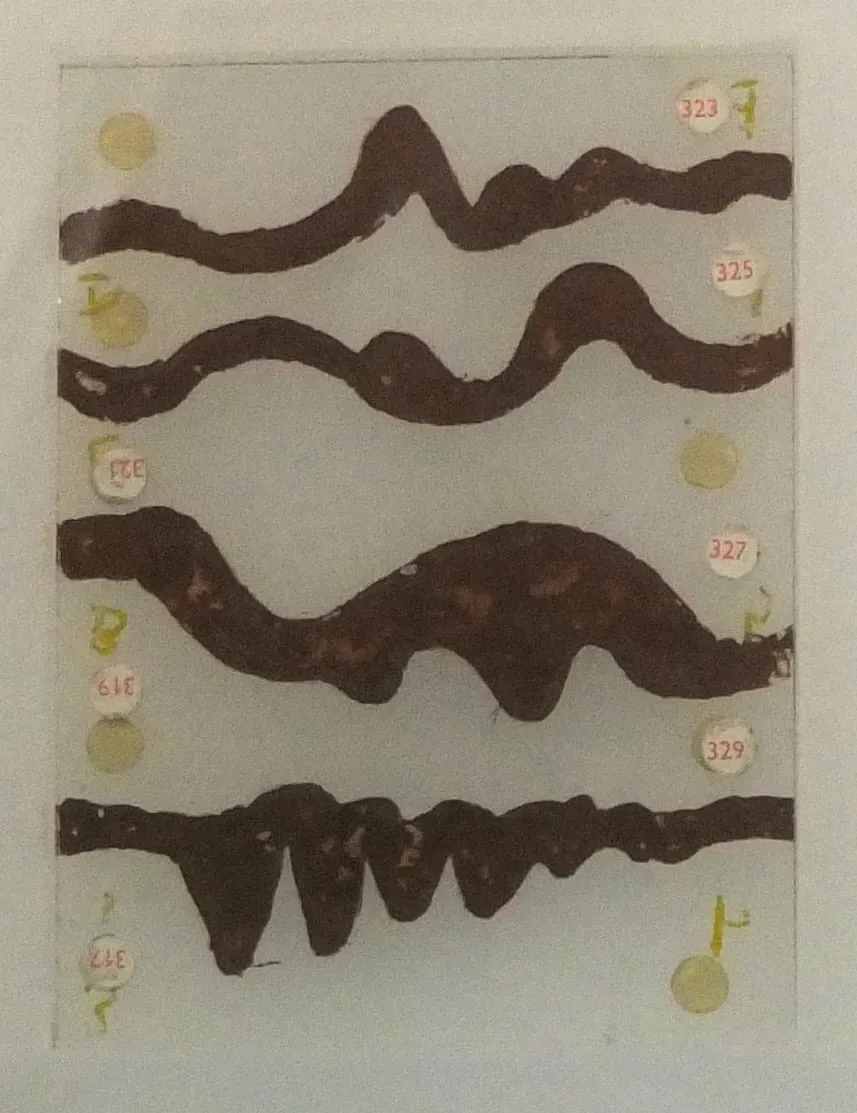 Brown hand-painted waveform curves fill a transparent rectangular slide used with the Oramics sound generator.