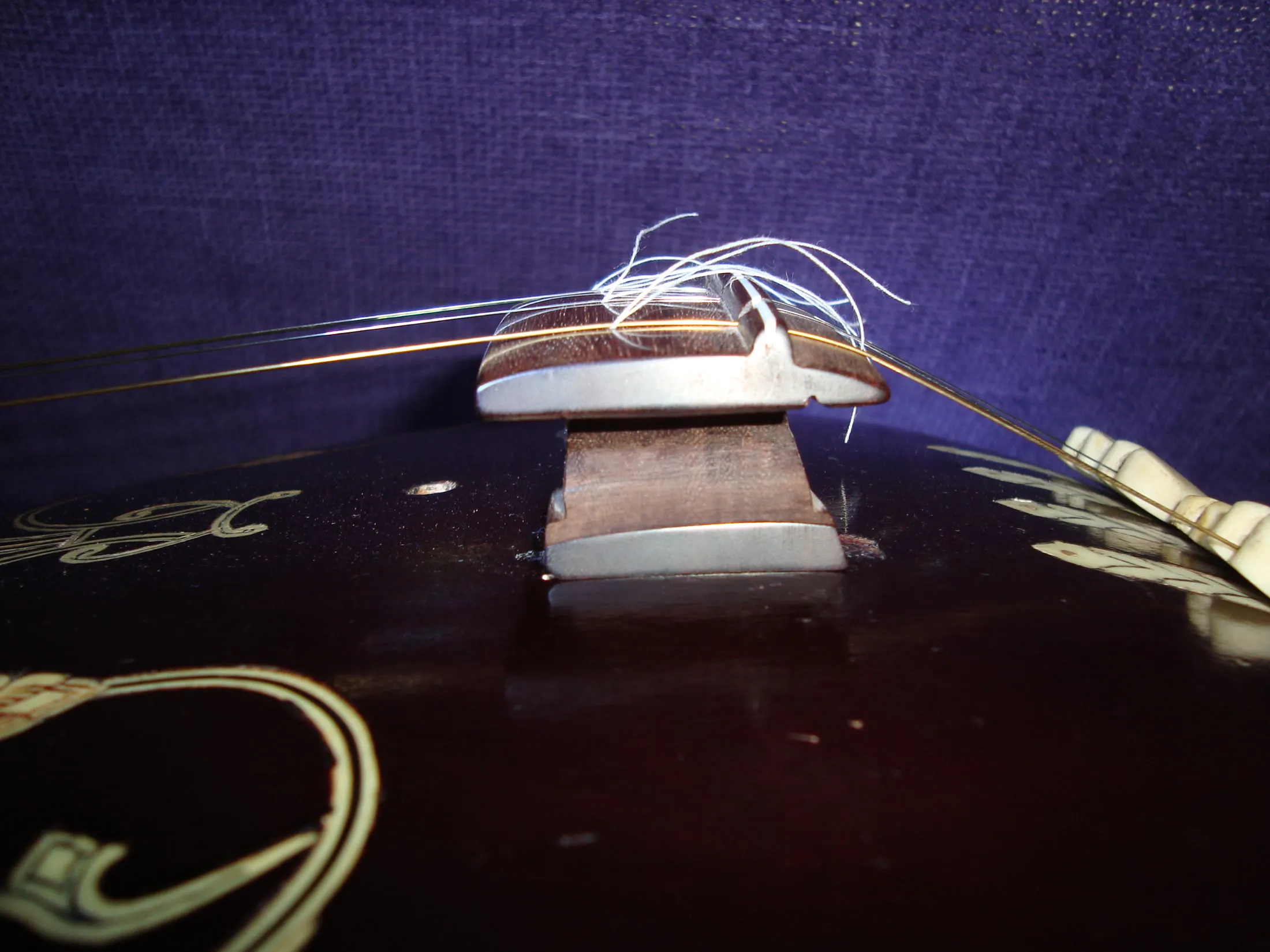 Four tanpura strings cross a rosewood bridge in close side view, with loose white cotton threads visible beneath the strings.